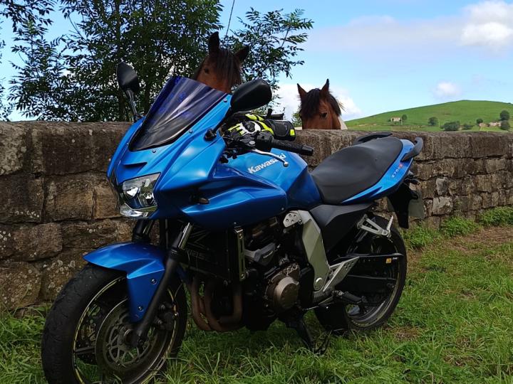 Javier Arrizabalaga herrera