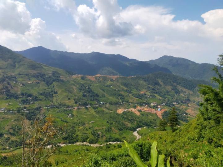 Vàng Giang Vàng Giang