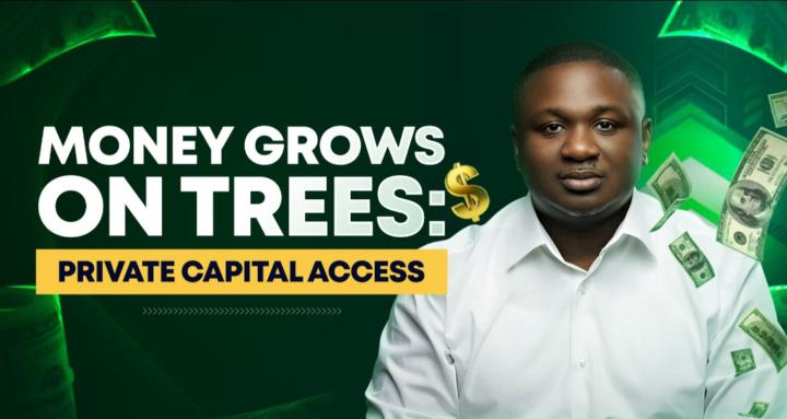 Money Grows on Trees: Paid