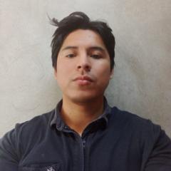 Luis Angel Masfil Inca