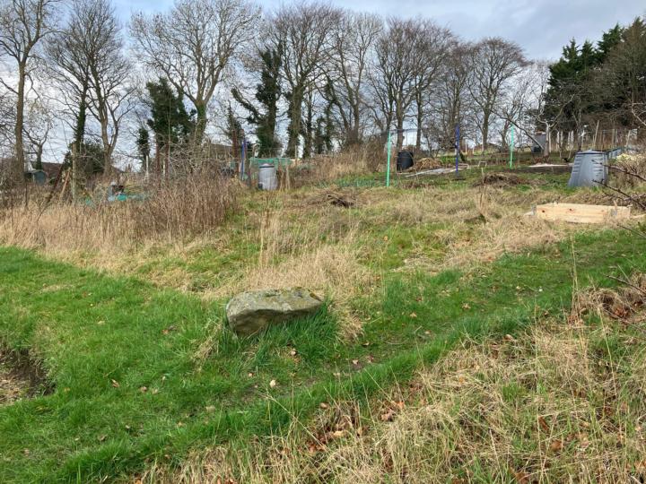 Allotment take over