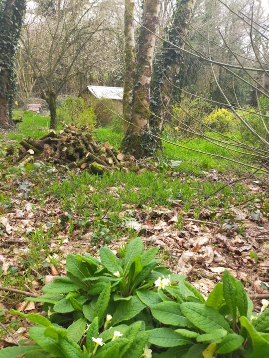 Don't forget the creepy crawlies and toadstools 