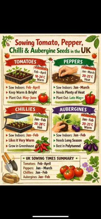 Whose sown their seeds? 