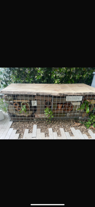 New urban wildlife garden for a community hub 