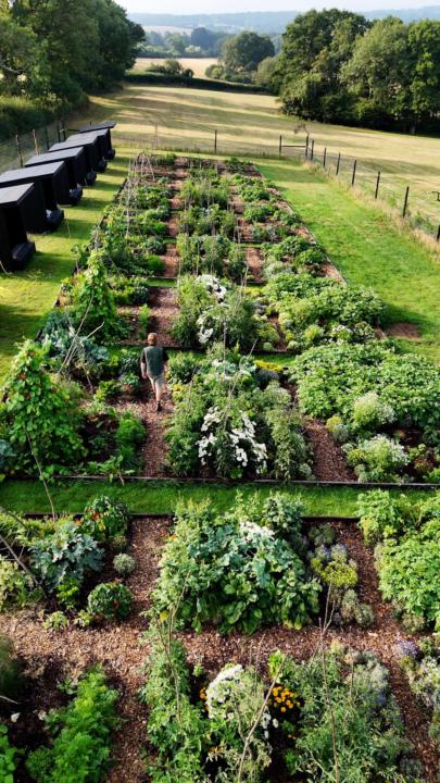 Merry Christmas community! 