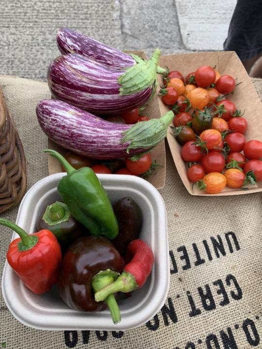 Seeds 🌱- what January and February sowings are you thinking about right now?