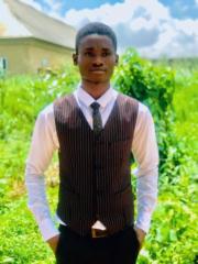 Ifeyemi Timileyin Emmanuel