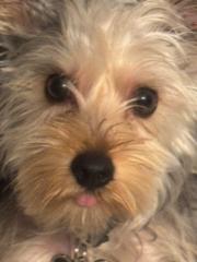 Marina Santiago Santiago