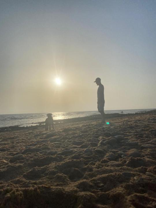 Alfonso Díaz Alcázar