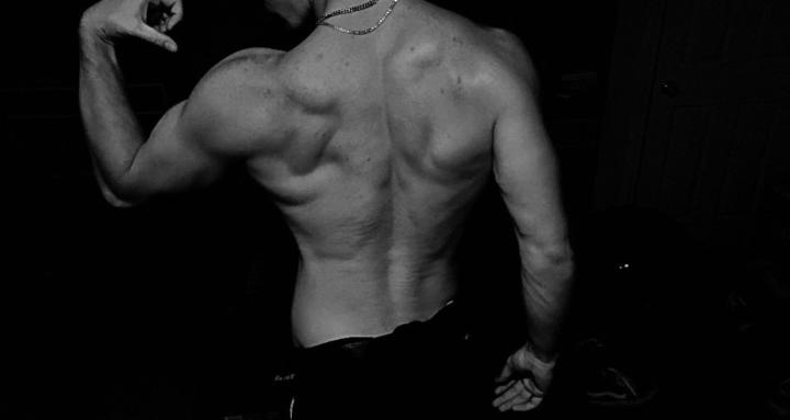 Library of Aesthetics 