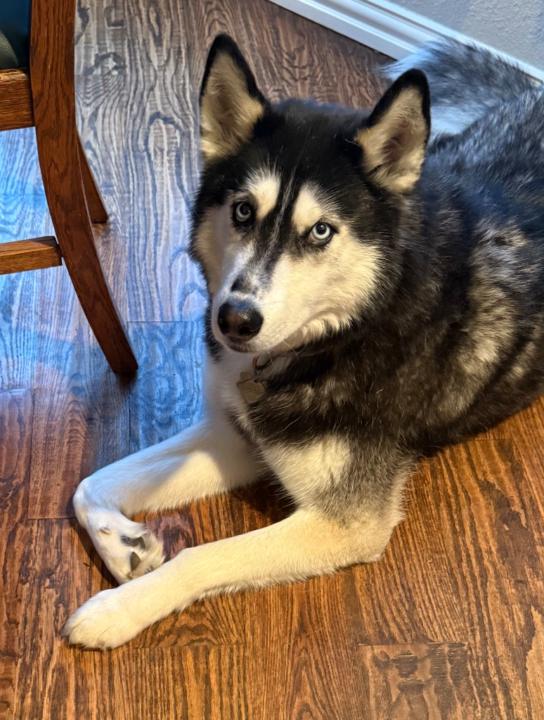 Anne Wilsman