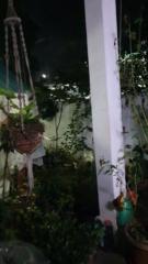 Bibi Nafissa Sohawon