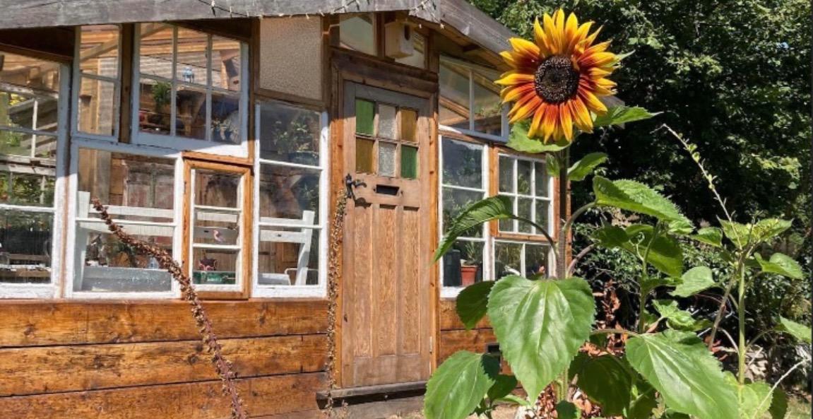 Crazy Cabin design and build..