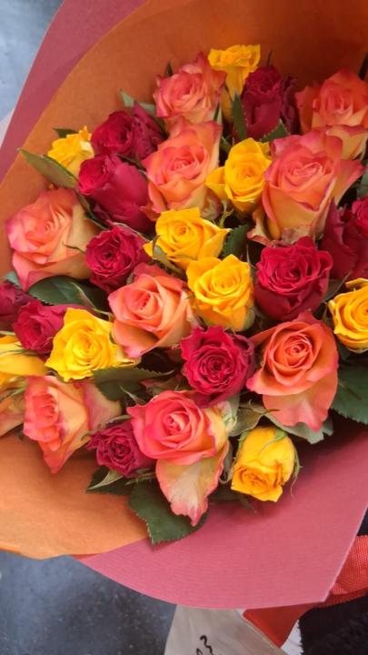 Clémentine Dailloux