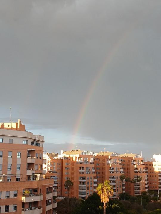 Susana Nadal soriano