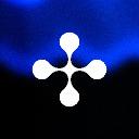 The NEXUS Membre icon