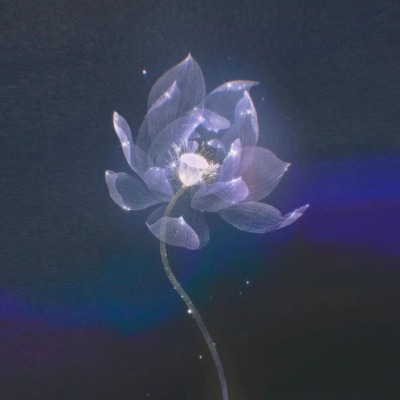 Cofar Wang