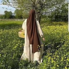 Gull Maqbool