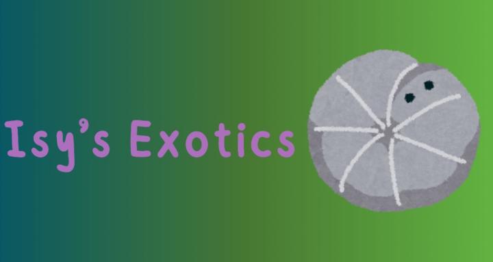 Isy’s Exotics