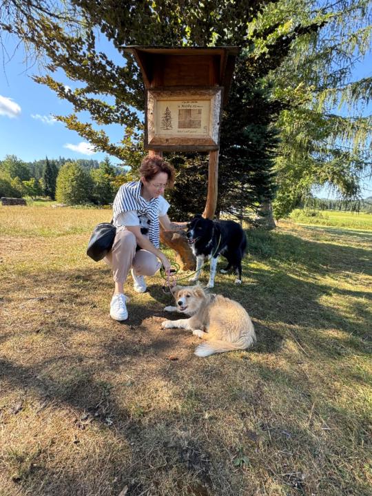 Monika Růžičková