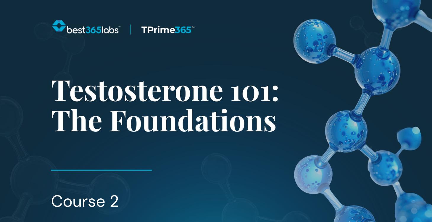 Testosterone 101: The Foundations