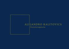 Alejandro Kalitovics diaz