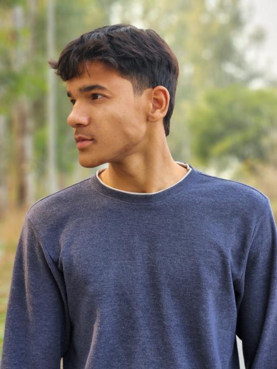 Mayank Goswami