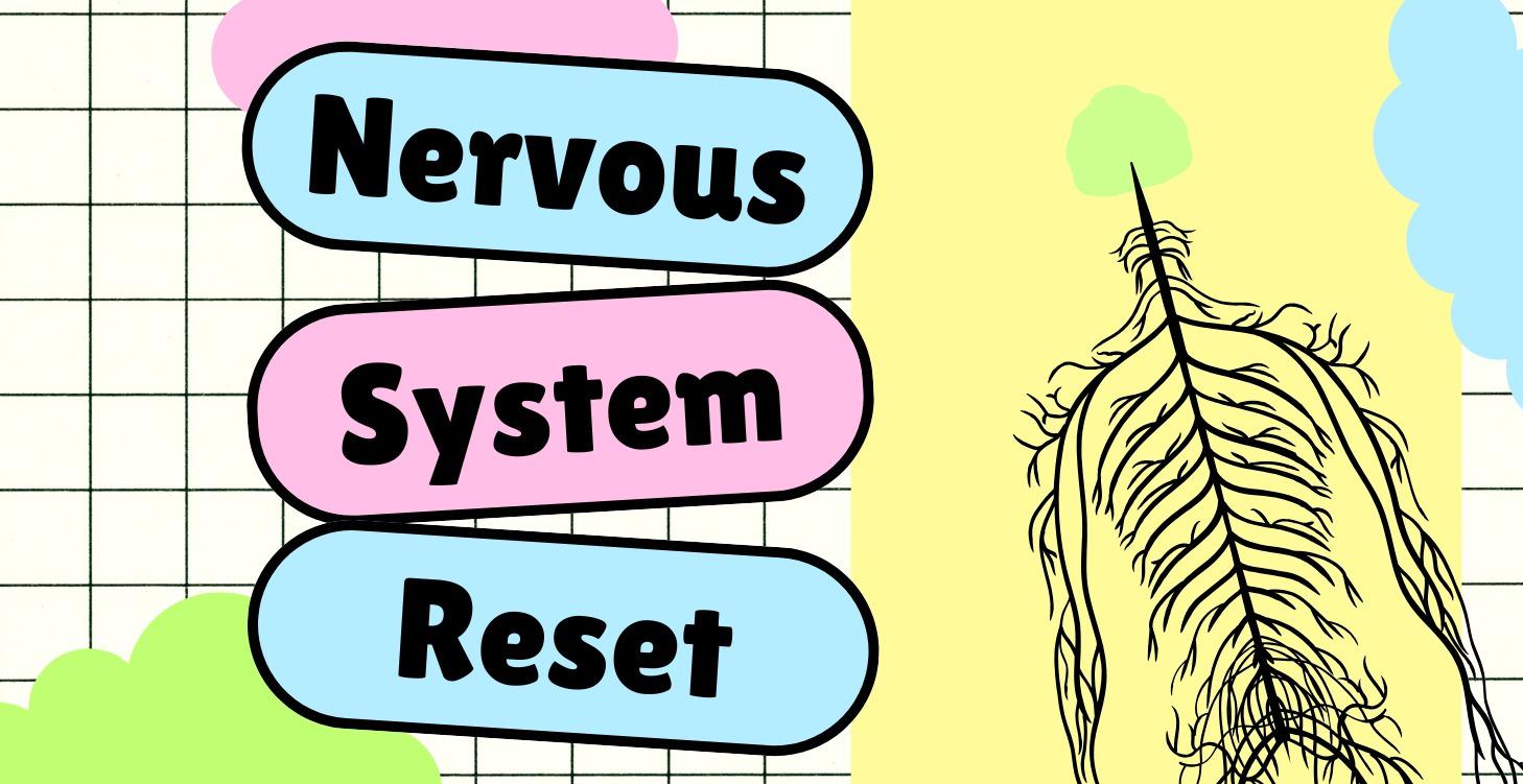 Nervous System Reset Protocol