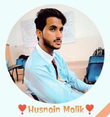 Husnain Raza
