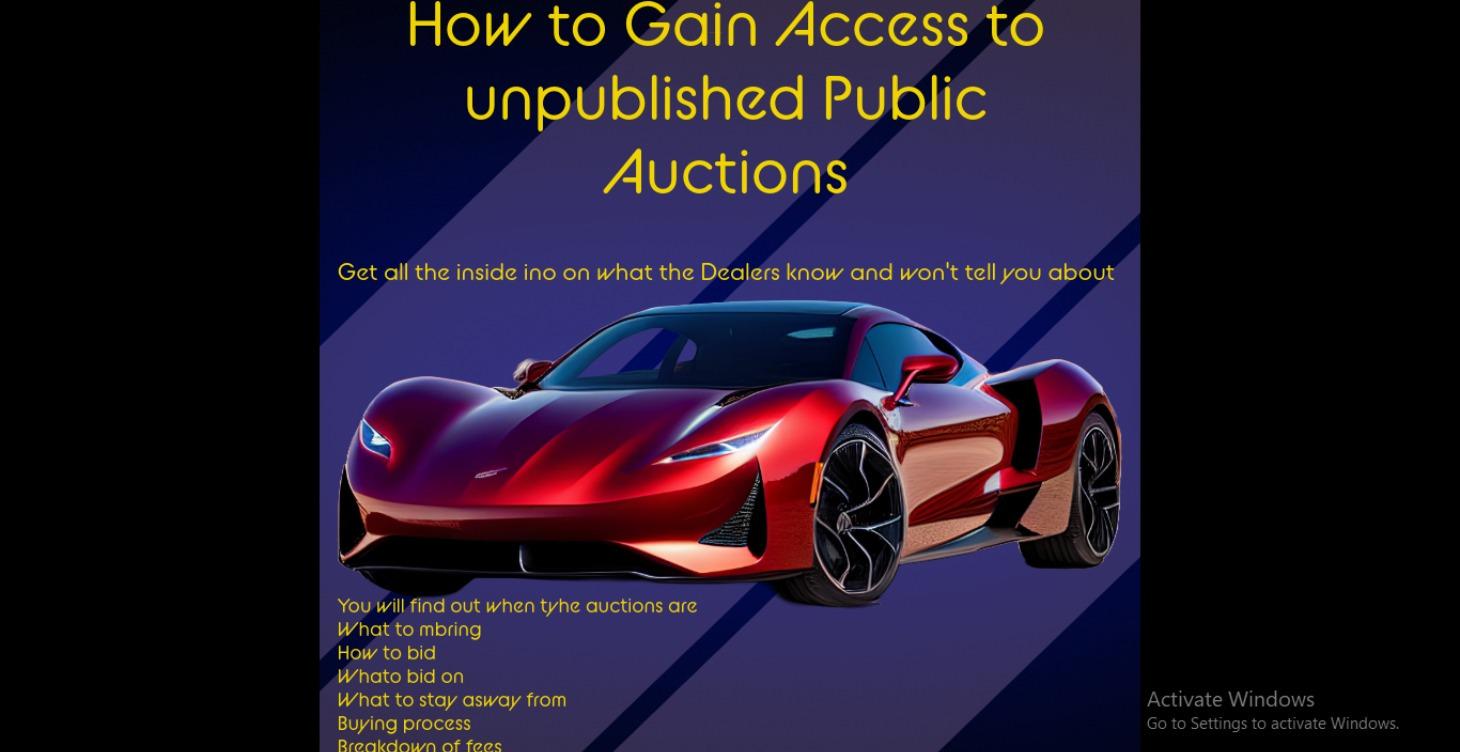 Access to Public & not so public Auctions+BONUS