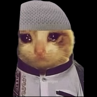 Mo Mo