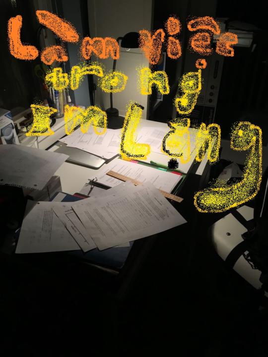 Nguyễn Phan Bảo Nguyên