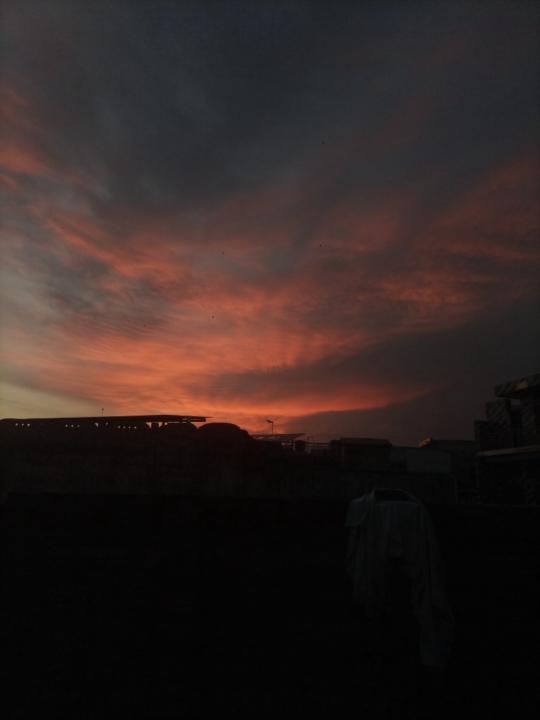 Carol Khurram