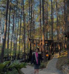 To Yen ngan