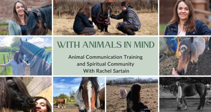 With Animals In Mind