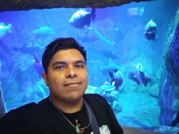 José Alberto De Marcos Muñoz