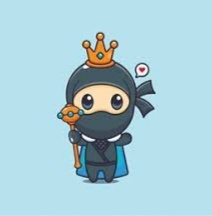 Ninja King