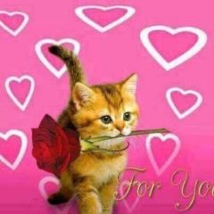 Selin B