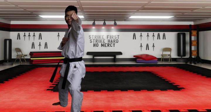 Karate Mechanic Dojo