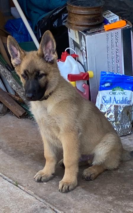 Gunner …. radar is up and running 