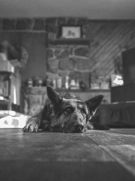 My old man