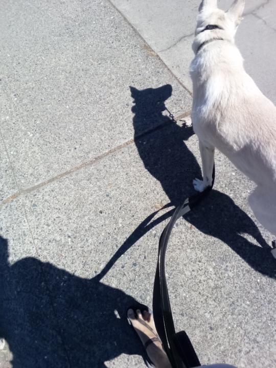 Weekend Walks?