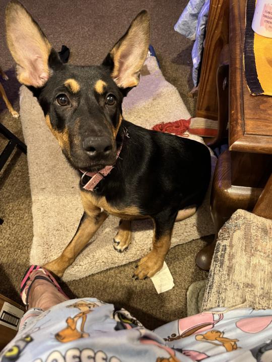 My, Lucy Lou