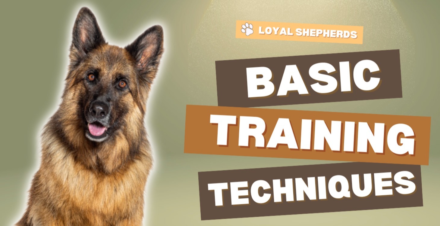 Basic Training Techinques
