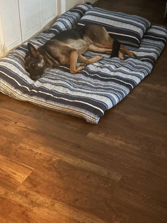 Tired from the days activities 