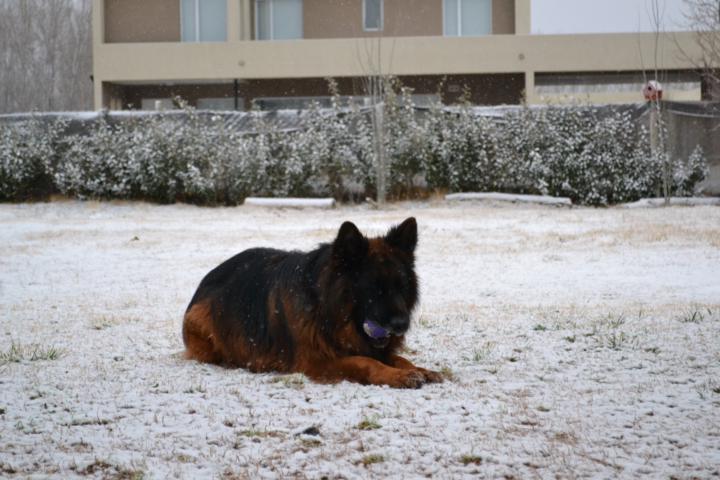 Guess who is enjoying SNOW??!!