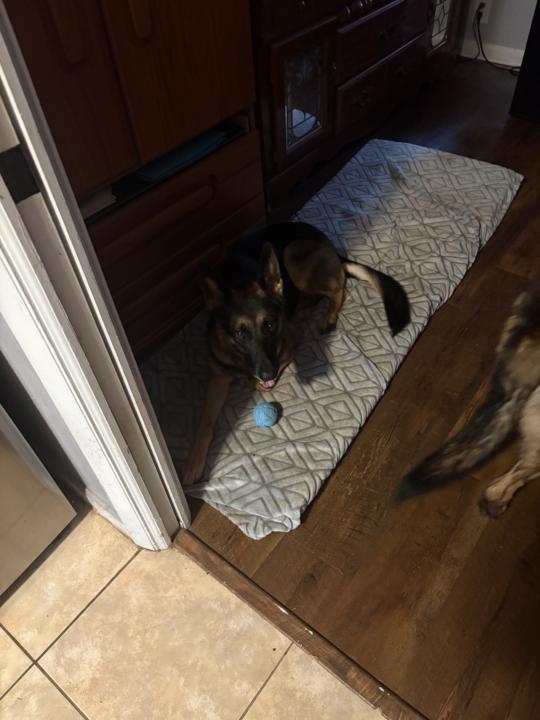 It’s my ball and you can’t have it 
