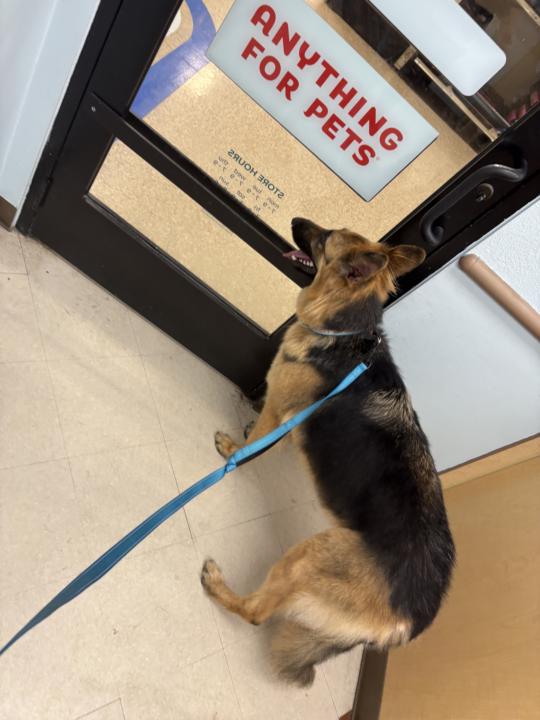 Groomers 