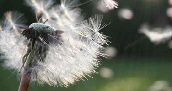 Connected Communities