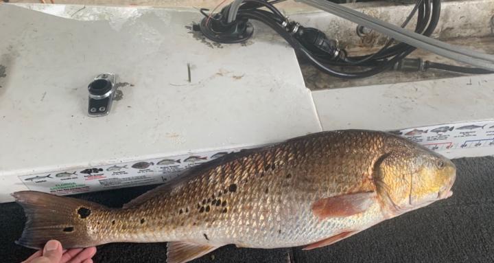Fishing w Rougarou